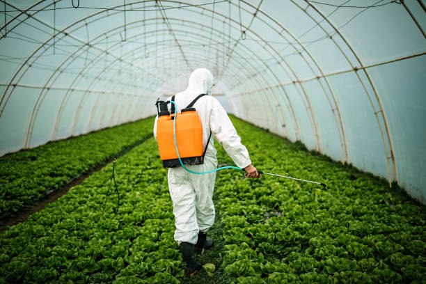 Best Best Pest Control Companies  in Mount Joy, PA