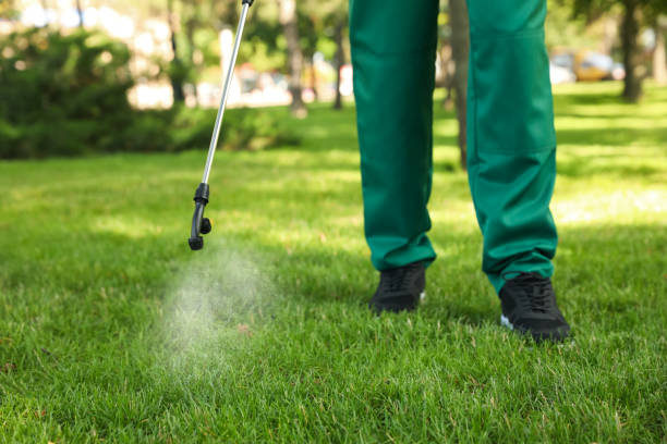 Flea Control Services in Mount Joy, PA