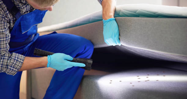 Best Termite Control Services  in Mount Joy, PA
