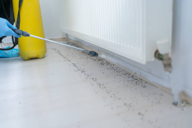 Professional Pest Control in Mount Joy, PA