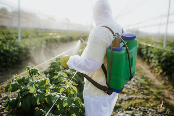 Best Affordable Pest Control Services  in Mount Joy, PA